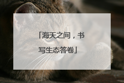 海天之间，书写生态答卷